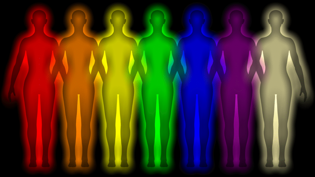 A row of seven human silhouettes glowing in rainbow-colored auras—red, orange, yellow, green, blue, indigo, and violet—symbolizing the chakra system and the energetic language of the body.