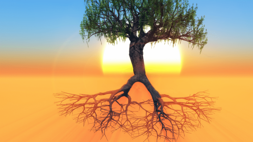 An artistic image of a tree with exposed roots standing against a glowing orange sky at sunset. The roots mirror the branches, symbolizing deep healing, unseen layers, and the connection between what’s above and what lies beneath.